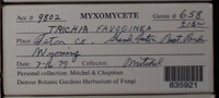 Image Associated With the Occurence